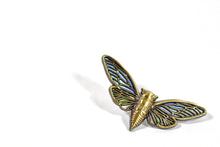 Cicada Pin