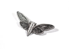 Cicada Pin