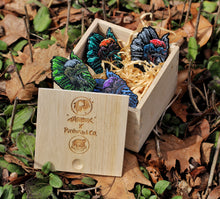 Dilophobox Blind Boxed Pins