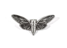 Cicada Pin